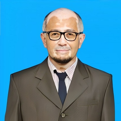 Penulis Member
