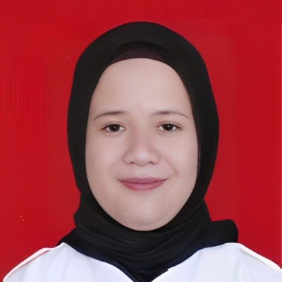 Penulis Member